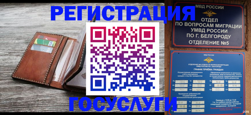 временная регистрация гарантия в Щёкино